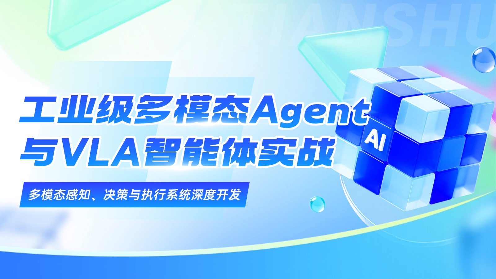 工业级多模态 Agent 与 VLA 智能体实战